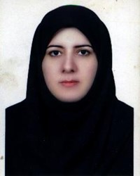بدرالسادات صحافي
